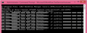 WF Test Service Host