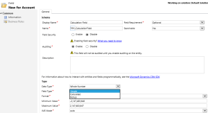 Calculated and Rollup Fields