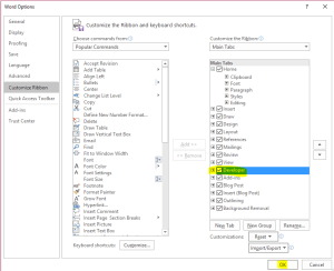 Download Template - Enable Developer tab