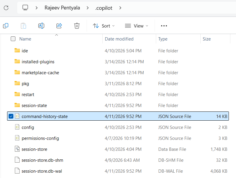 [Quick Tip] GitHub Copilot CLI | Get Prompt History